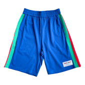 Шорты Gucci With Stripes "Blue"