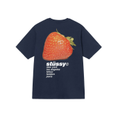 Футболка Stussy Berry And Cities "Blue"