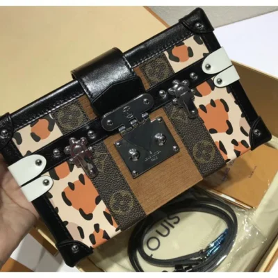 Сумка Louis Vuitton Wild Petite Malle Bag M51480 2018 "Brown" фото № 2 Сумка Louis Vuitton Wild Petite Malle Bag M51480 2018 "Brown" фото № 2