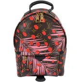 Рюкзак Louis Vuitton M41981 Palm Springs Backpack PM Monogram Canvas "Brown"