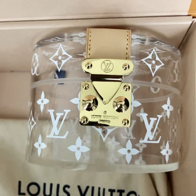Сумка Louis Vuitton Monogram Vernis Box Scott GI0203 "Clear" фото № 4