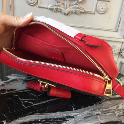 Сумка Louis Vuitton M43556 Saintonge Monogram Canvas "Brown" фото № 9