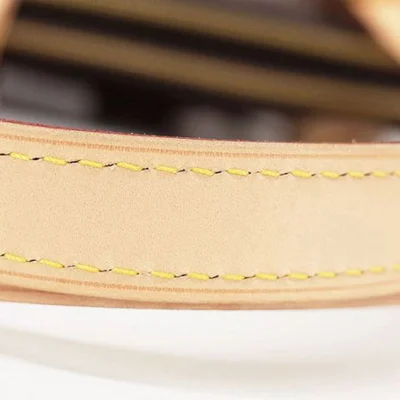 Сумка Louis Vuitton M41210 Carrousel Shoulder Bag Monogram Canvas "Brown" фото № 5