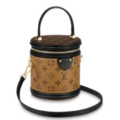 Сумка Louis Vuitton Cannes M43986 Monogram Canvas "Brown"