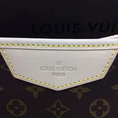 Сумка Louis Vuitton M41231 Estrela GM Shoulder Bag Monogram Canvas "Brown" фото № 6