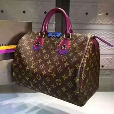 Сумка Louis Vuitton M41666 Speedy 30 Totem Tote Bag Monogram Canvas "Brown" фото № 3 Сумка Louis Vuitton M41666 Speedy 30 Totem Tote Bag Monogram Canvas "Brown" фото № 3