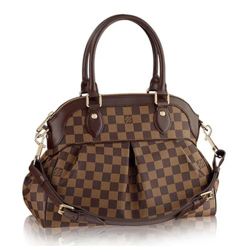 Сумка Louis Vuitton N51997 Trevi PM Tote Bag Damier Ebene Canvas "Brown"