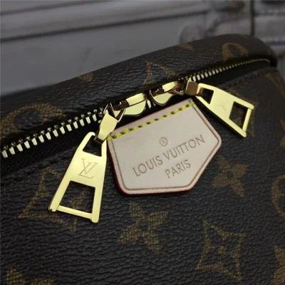 Сумка Louis Vuitton Monogram Canvas Bumbag M43644 "Brown" фото № 5