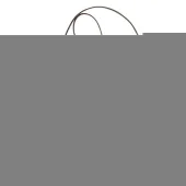 Сумка Louis Vuitton N41276 Favorite PM Damier Ebene Canvas "Brown"