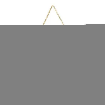 Сумка Louis Vuitton N41276 Favorite PM Damier Ebene Canvas "Brown" фото № 3 Сумка Louis Vuitton N41276 Favorite PM Damier Ebene Canvas "Brown" фото № 3