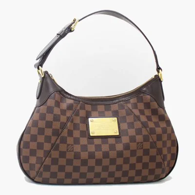 Сумка Louis Vuitton N48181 Thames GM Hobo Bag Damier Ebene Canvas "Brown" фото № 2