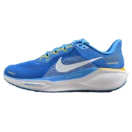 Nike Air Zoom Pegasus 41