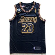 Баскетбольная Джерси Nike Los Angeles Lakers 20 №23 LeBron James "Blue/Black"