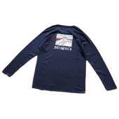 Лонгслив Patagonia Mountain Landscape Back Print "Blue"