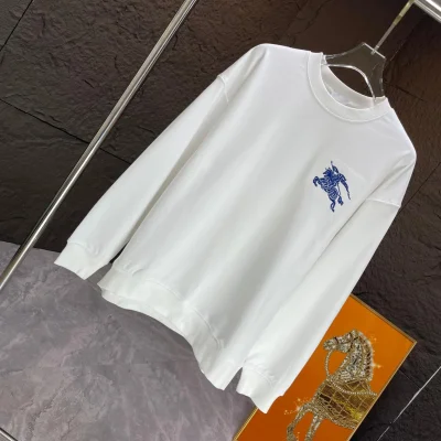 Свитшот Burberry Frontside Print Blue Warrior On The Horse "White" фото № 2 Свитшот Burberry Frontside Print Blue Warrior On The Horse "White" фото № 2