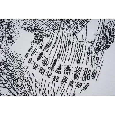 Футболка Alexander Mcqueen Skull Made Of Lines Front Print "White" фото № 4