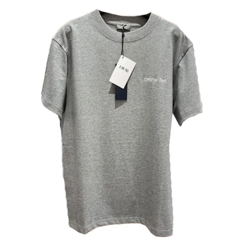Футболка Christian Dior Frontside Little Logotype "Gray"