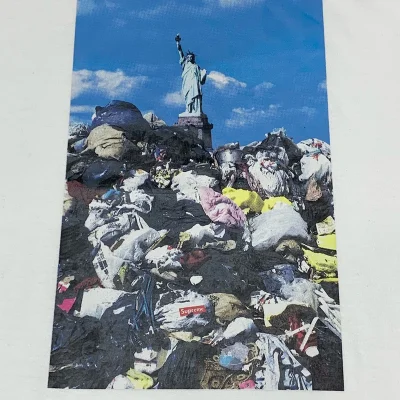 Футболка Supreme Cartoon Statue Of Liberty "White" фото № 2