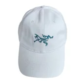 Кепка Arcteryx Skeleton Logo "White"