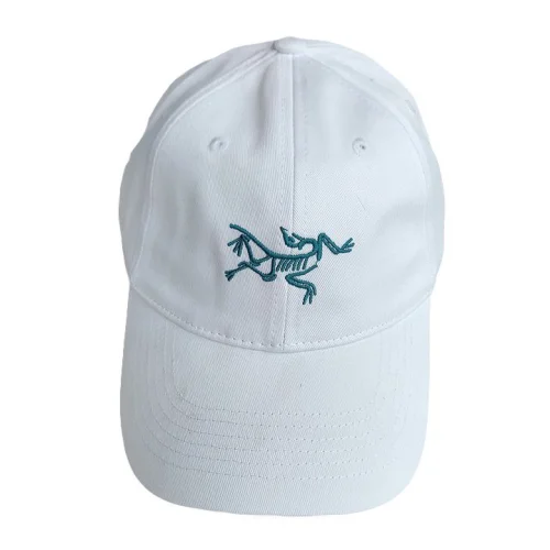 Кепка Arcteryx Skeleton Logo "White"