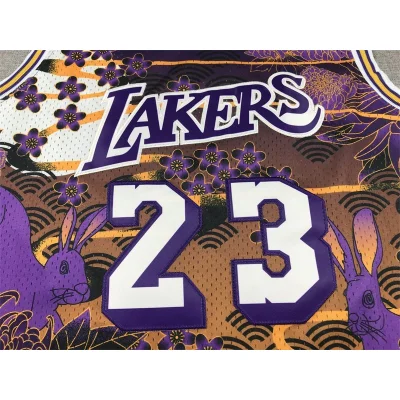 Баскетбольная Джерси NBA Los Angeles Lakers №23 LeBron James With Print "Violet/Orange" фото № 3 Баскетбольная Джерси NBA Los Angeles Lakers №23 LeBron James With Print "Violet/Orange" фото № 3