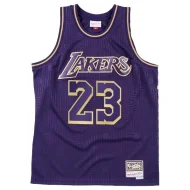 Баскетбольная Джерси NBA Los Angeles Lakers №23 LeBron James "Violet"