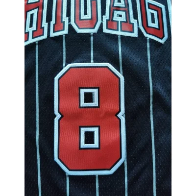 Баскетбольная Джерси Nike Chicago Bulls 19-20 №8 Zach LaVine "Black" фото № 5