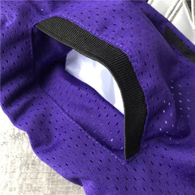 Баскетбольные Шорты Just Don Toronto Raptors "Violet" фото № 4