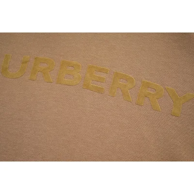 Худи Burberry Printed Logo On The Front "Brown" фото № 5