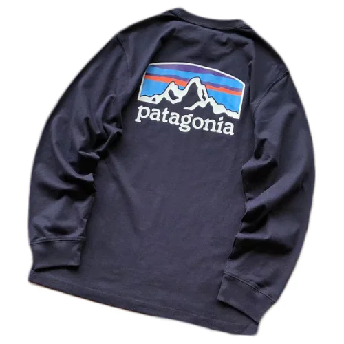 Лонгслив Patagonia Mountain View Back Print "Blue"