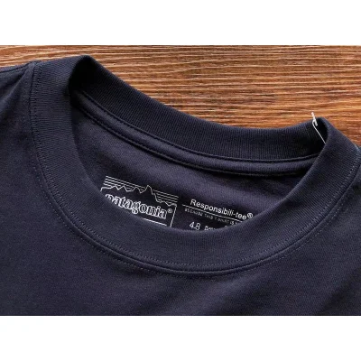 Лонгслив Patagonia Mountain View Back Print "Blue" фото № 4