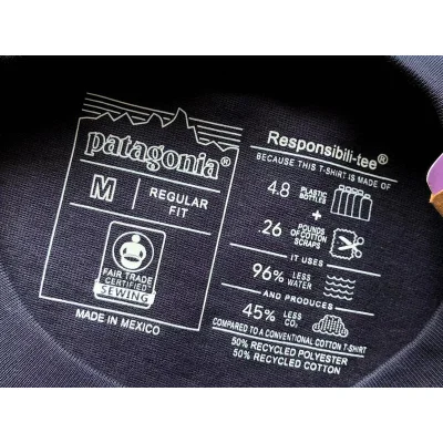 Лонгслив Patagonia Mountain View Back Print "Blue" фото № 5