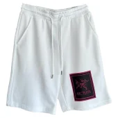 Шорты Arcteryx Framed Logo Decal "White"
