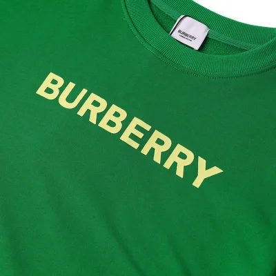 Свитшот Burberry The Basic Collection Of The Brand "Green" фото № 3 Свитшот Burberry The Basic Collection Of The Brand "Green" фото № 3