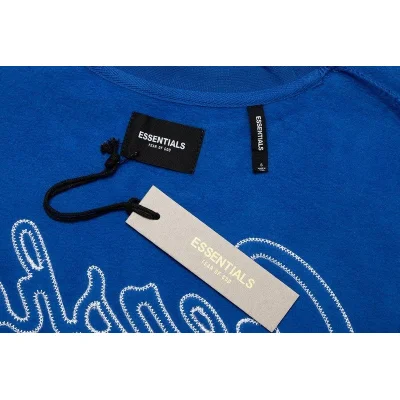 Свитшот Fear Of God With An Inscription On The Back And Text Logo "Blue" фото № 2