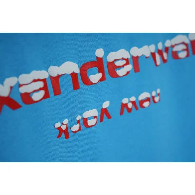 Футболка Alexander Wang Logo In The Snow "Blue" фото № 3