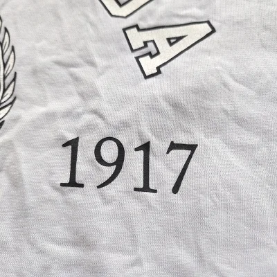 Футболка Balenciaga Royal Coat Of Arms Large "White" фото № 5