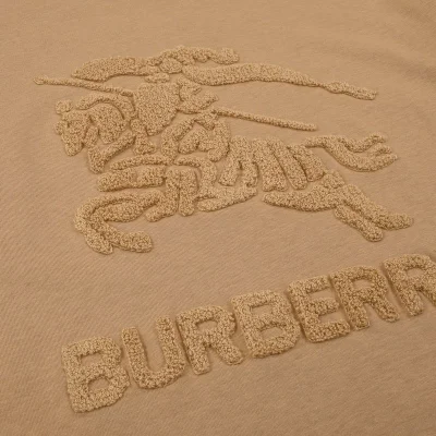 Футболка Burberry With Big Picture "Brown" фото № 3