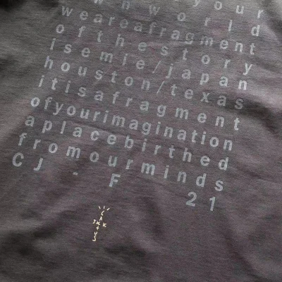 Футболка Cactus Jack Merch Flying Bird And Circle Front Print "Gray" фото № 8