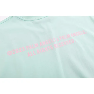 Футболка Palm Angels All Rights Reserved "Mint" фото № 7