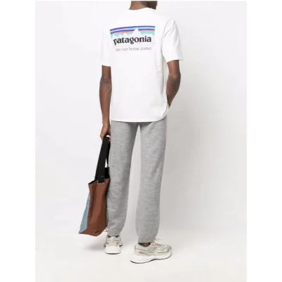 Футболка Patagonia Mountain View And Lettering Save Our Home Planet "White" фото № 8