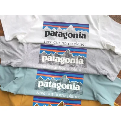 Футболка Patagonia Mountain View And Lettering Save Our Home Planet "White" фото № 3
