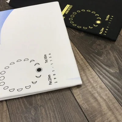 Футболка Stone Island Lunar Cycle "White" фото № 3