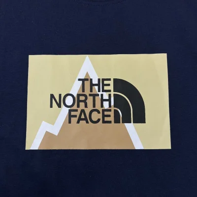 Футболка The North Face Top "Blue" фото № 2 Футболка The North Face Top "Blue" фото № 2