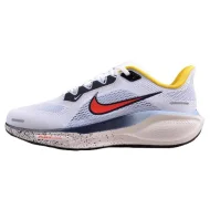 Nike Air Zoom Pegasus 41
