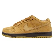 Nike SB Dunk Low Pro