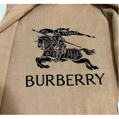 Худи Burberry Backside Black Warrior On The Horse Checked "Brown" фото № 2