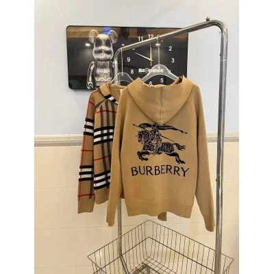 Худи Burberry Backside Black Warrior On The Horse Checked "Brown" фото № 5