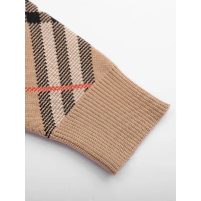 Свитшот Burberry Cross Crossings "Brown" фото № 3