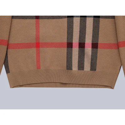 Свитшот Burberry Print Allsides Checked Colorful Lines "Brown" фото № 2